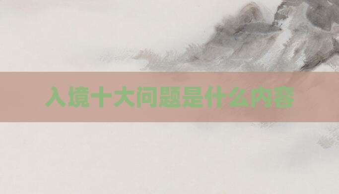 入境十大问题是什么内容