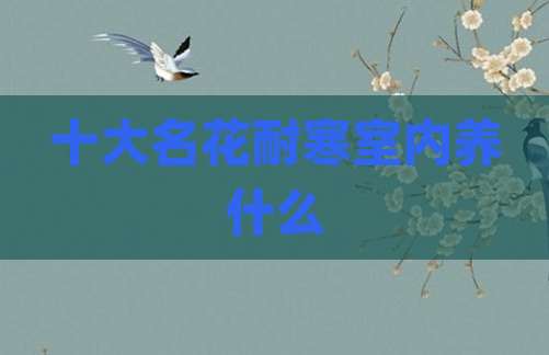 十大名花耐寒室内养什么