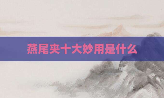 燕尾夹十大妙用是什么