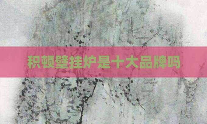 积顿壁挂炉是十大品牌吗