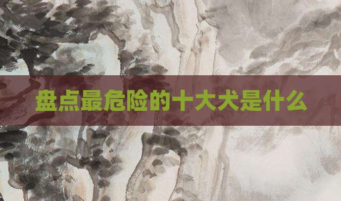 盘点最危险的十大犬是什么