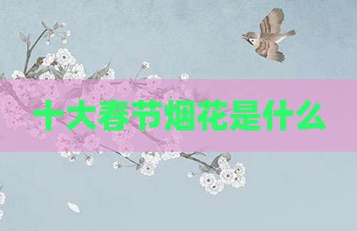 十大春节烟花是什么