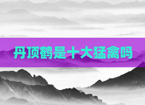 丹顶鹤是十大猛禽吗