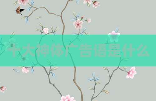 十大神体广告语是什么