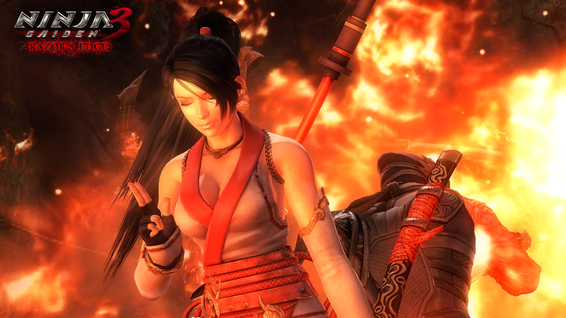 忍者龙剑传：大师合集/NINJA GAIDEN: Master Collection